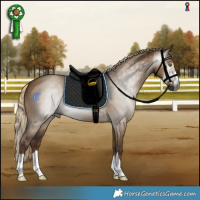 Horse Color:Gray Chocolate Palomino Dun 