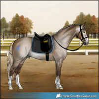 Horse Color:Gray Chocolate Palomino Dun 