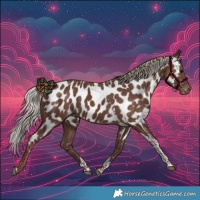 Horse Color:Silver Black Tobiano Appaloosa 
