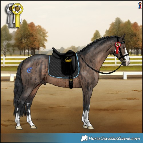 Horse Color:Brown Dun Brindle 