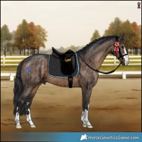 Horse Color:Brown Dun Brindle
