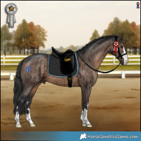 Horse Color:Brown Dun Brindle