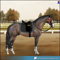 Horse Color:Brown Dun Brindle