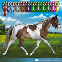 Horse Color:Liver Chestnut Tobiano 