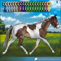 Horse Color:Liver Chestnut Tobiano 