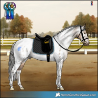 Horse Color:Gray Liver Red Dun Tobiano Appaloosa Rabicano Brindle