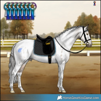 Horse Color:Gray Liver Red Dun Tobiano Appaloosa Rabicano Brindle 