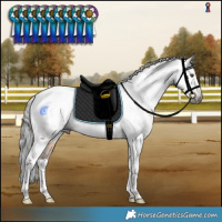 Horse Color:Gray Liver Red Dun Tobiano Blanket Rabicano Brindle 