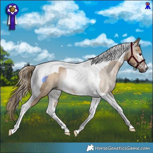 Horse Color:Gray Liver Red Dun Tobiano Rabicano 