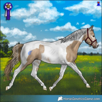 Horse Color:Gray Liver Red Dun Tobiano Rabicano 