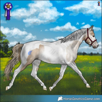 Horse Color:Gray Liver Red Dun Tobiano Rabicano