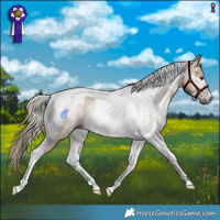 Horse Color:Gray Liver Red Dun Tobiano Rabicano