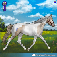 Horse Color:Gray Liver Red Dun Tobiano Rabicano 