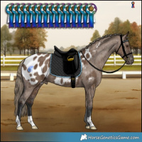 Horse Color:Liver Red Dun Blanket Brindle 