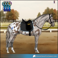 Horse Color:Liver Red Dun Appaloosa Brindle