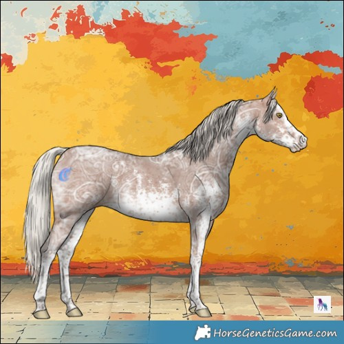 Horse Color:White Spotted Silver Brown Ice Sabino Rabicano 