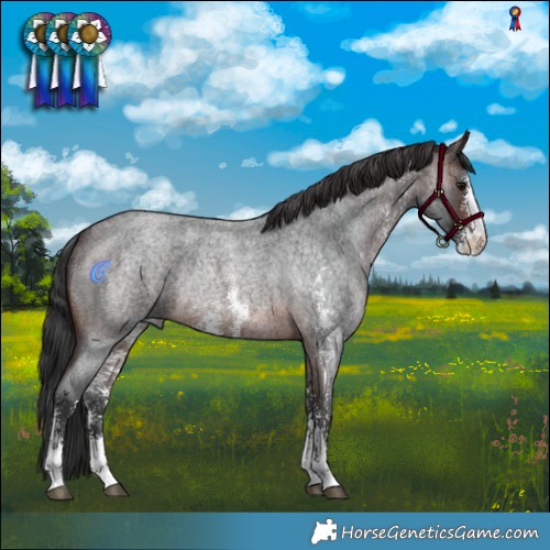 Horse Color:Brown Roan Sabino Rabicano 