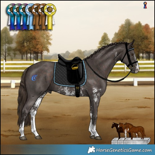 Horse Color:Liver Chestnut Sabino 