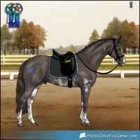 Horse Color:Liver Chestnut Sabino