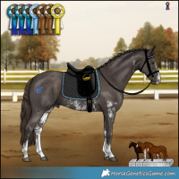 Horse Color:Liver Chestnut Sabino