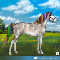 Horse Color:Painted White Spotted Bay Roan Dun Splash