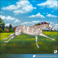 Horse Color:Painted White Spotted Bay Roan Dun Splash 