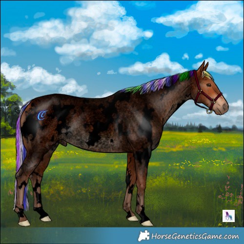 Horse Color:Void Painted White Spotted Silver Bay Roan 
