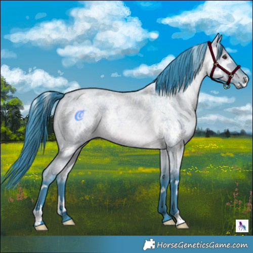 Horse Color:Watercolor White Spotted Bay Roan Dun 