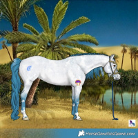 Horse Color:Watercolor White Spotted Bay Roan Dun