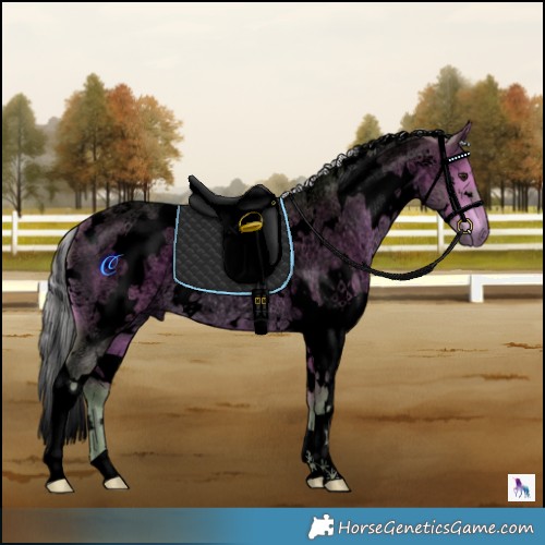 Horse Color:Void Watercolor White Spotted Silver Bay Roan