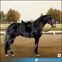 Horse Color:Void Watercolor White Spotted Silver Bay Roan 