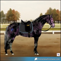 Horse Color:Void Watercolor White Spotted Silver Bay Roan 