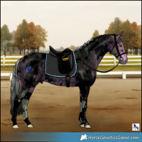 Horse Color:Void Watercolor White Spotted Silver Bay Roan 