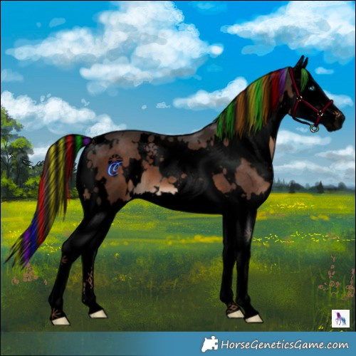 Horse Color:Void Painted White Spotted Liver Chestnut Splash 