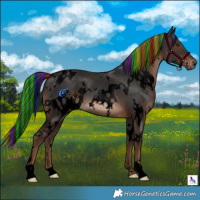 Horse Color:Void Painted White Spotted Liver Chestnut 