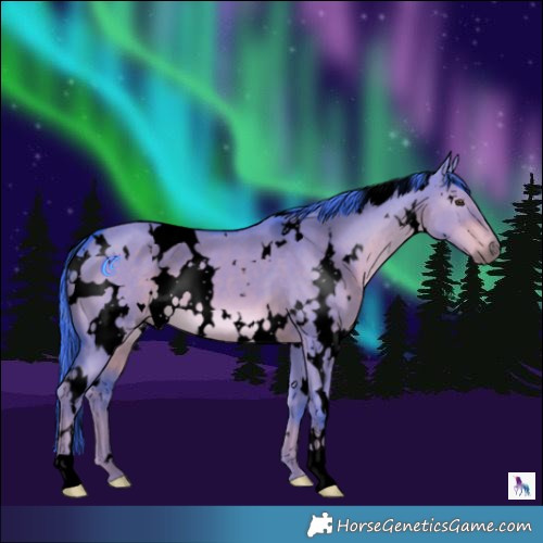 Horse Color:Void Watercolor White Spotted Liver Red Dun 