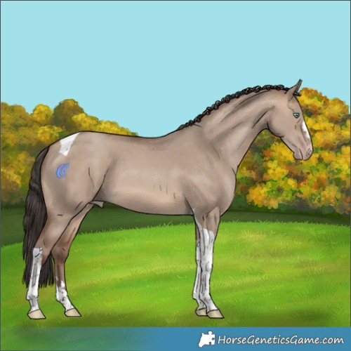 Horse Color:Sable Champagne Dun Tobiano