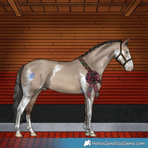Horse Color:Sable Champagne Dun Sabino