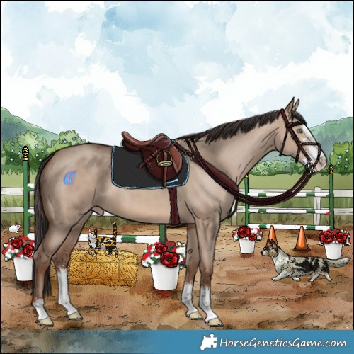 Horse Color:Sable Champagne Dun Sabino