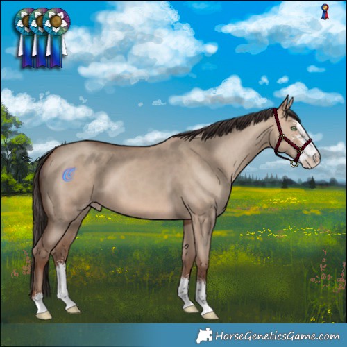 Horse Color:Sable Champagne Dun Sabino 
