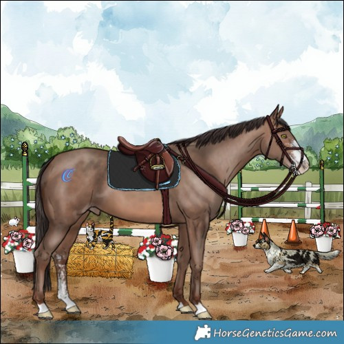 Horse Color:Sable Champagne Sabino 