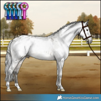 Horse Color:Gray White Spotted Buckskin Dun Varnish