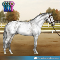 Horse Color:Gray White Spotted Buckskin Dun Appaloosa 