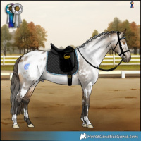 Horse Color:Gray White Spotted Buckskin Dun Appaloosa 