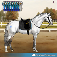 Horse Color:Gray White Spotted Buckskin Dun Varnish 