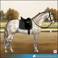 Horse Color:Gray White Spotted Buckskin Pearl Dun