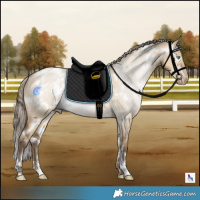Horse Color:Gray White Spotted Buckskin Pearl Dun 