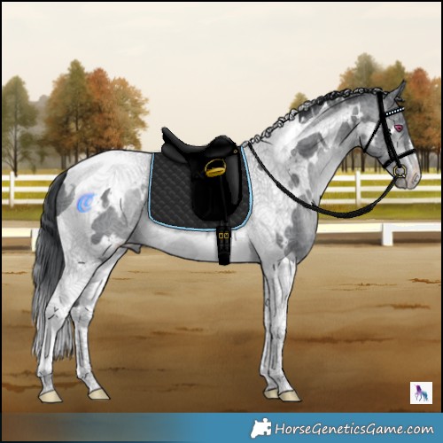 Horse Color:White Spotted Brown Chinchilla Tobiano