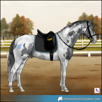 Horse Color:White Spotted Brown Chinchilla Tobiano