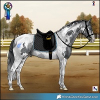 Horse Color:White Spotted Brown Chinchilla Tobiano 